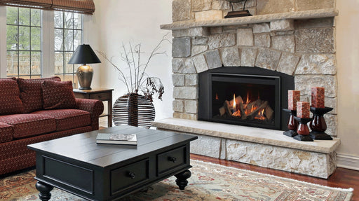 Majestic | Ruby 25" Direct Vent Gas Insert Fireplace Majestic - Fireplace Majestic   