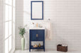 Legion Furniture | 24" KD Blue Sink Vanity | WLF9024-B Legion Furniture Legion Furniture   